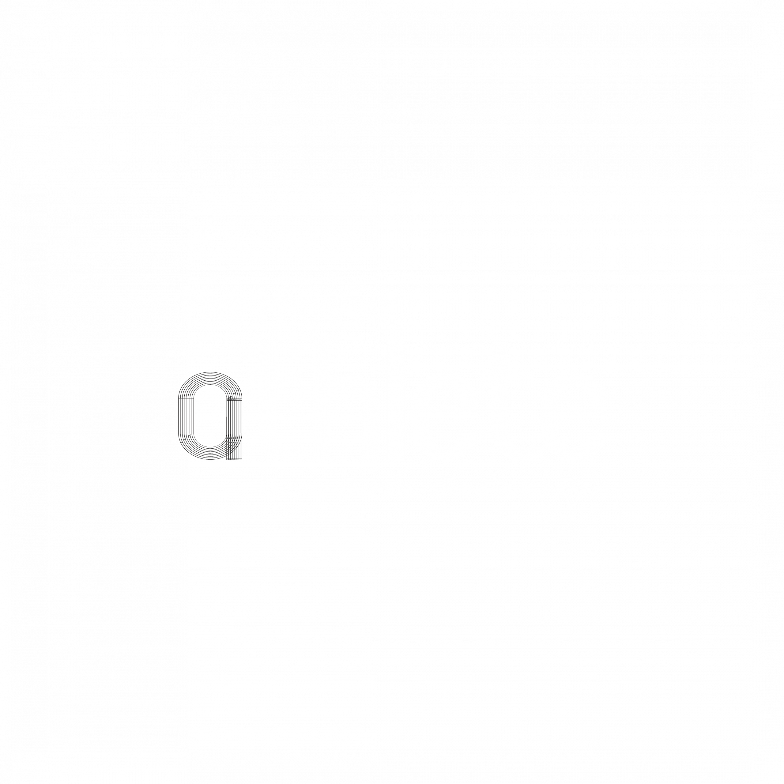 The Master Athlete